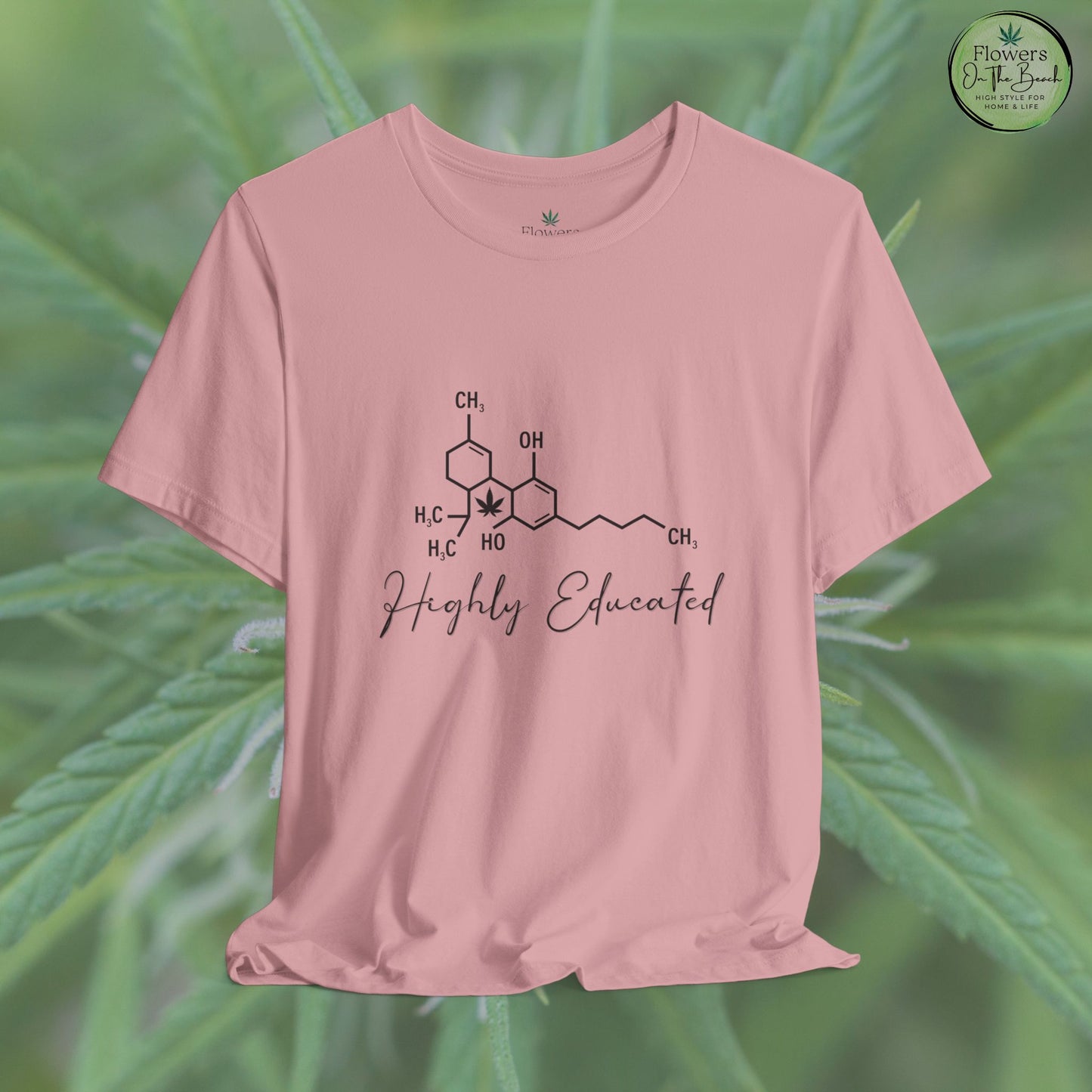 Stoner Pun Tee, Cannabis Chemistry Shirt, Highly Educated Tshirt, Funny Weed Top, Unisex Stoner Gift, 420 Apparel