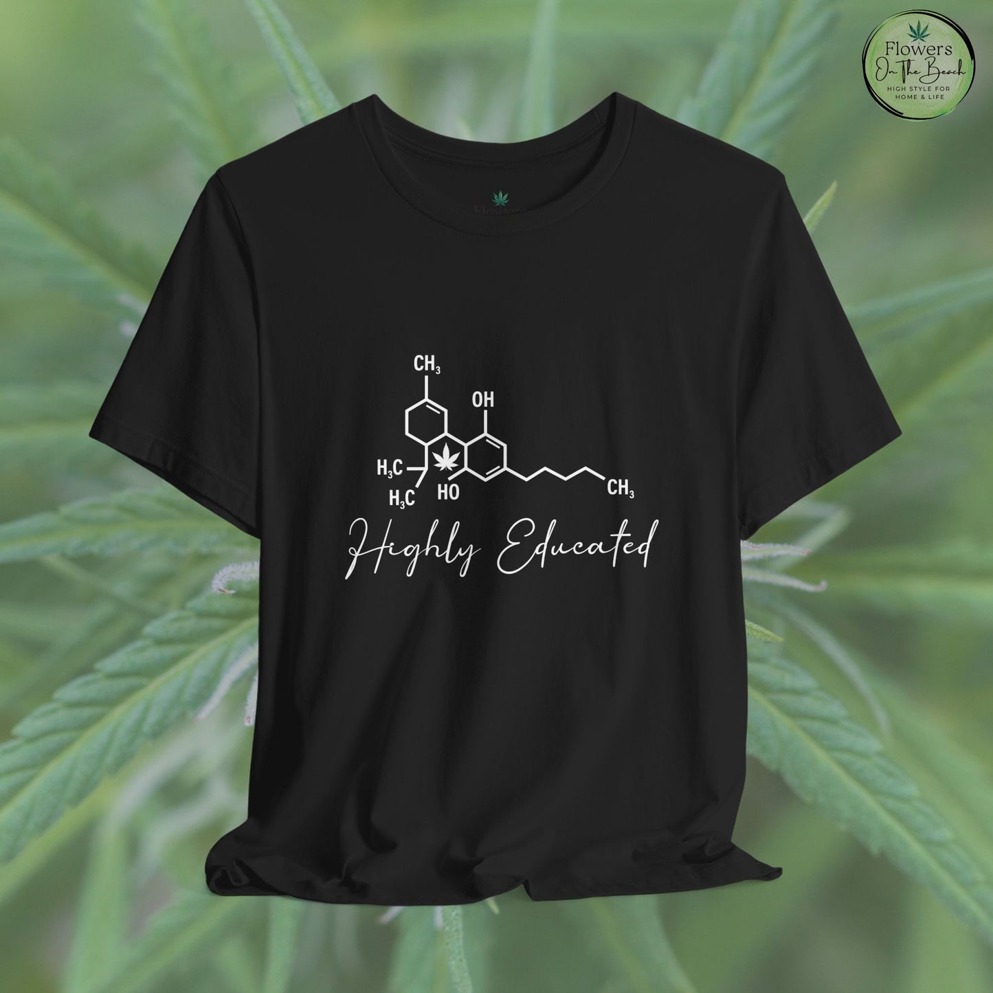 Stoner Pun Tee, Cannabis Chemistry Shirt, Highly Educated Tshirt, Funny Weed Top, Unisex Stoner Gift, 420 Apparel