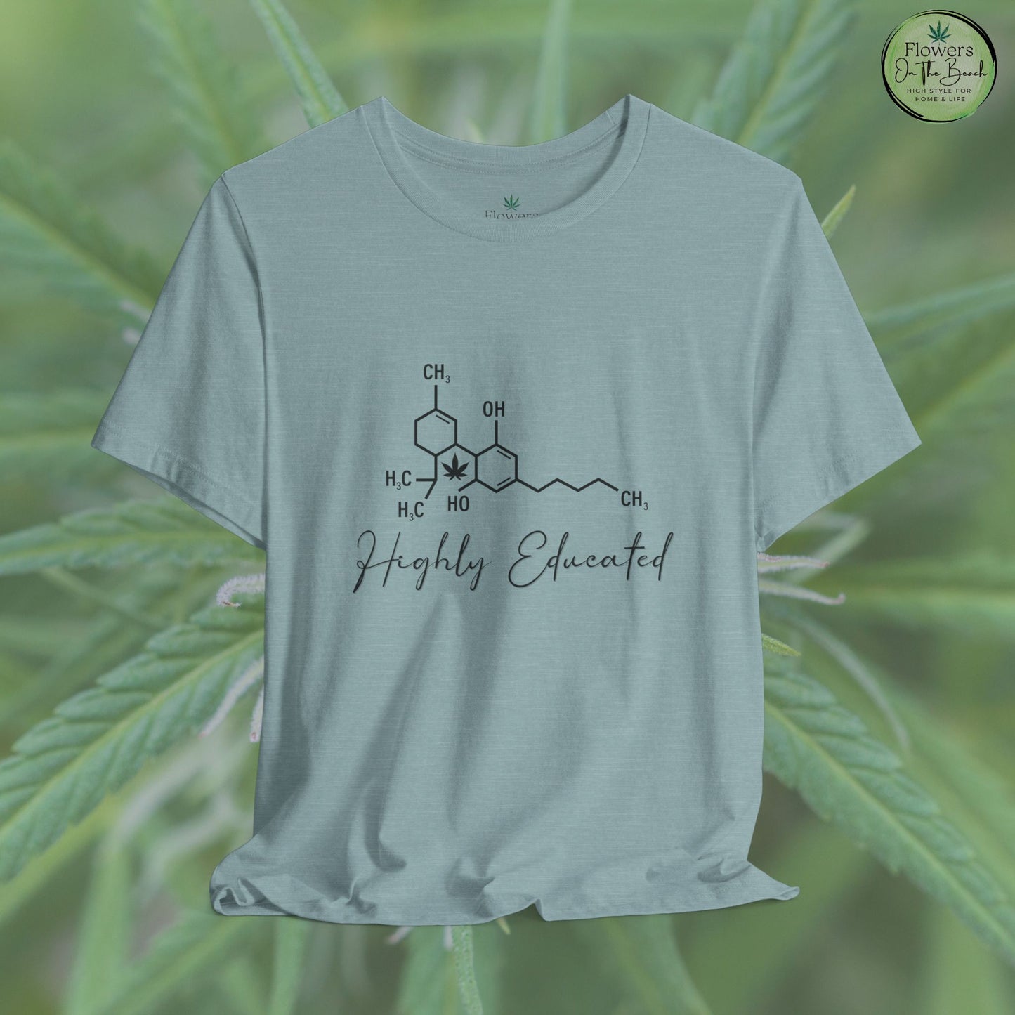 Stoner Pun Tee, Cannabis Chemistry Shirt, Highly Educated Tshirt, Funny Weed Top, Unisex Stoner Gift, 420 Apparel