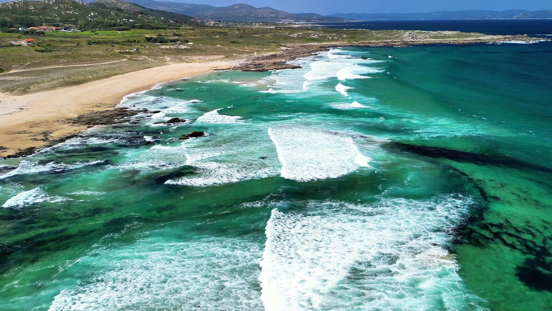 Why Our Oceans Need Us: A Gentle Call to Protect What We Love