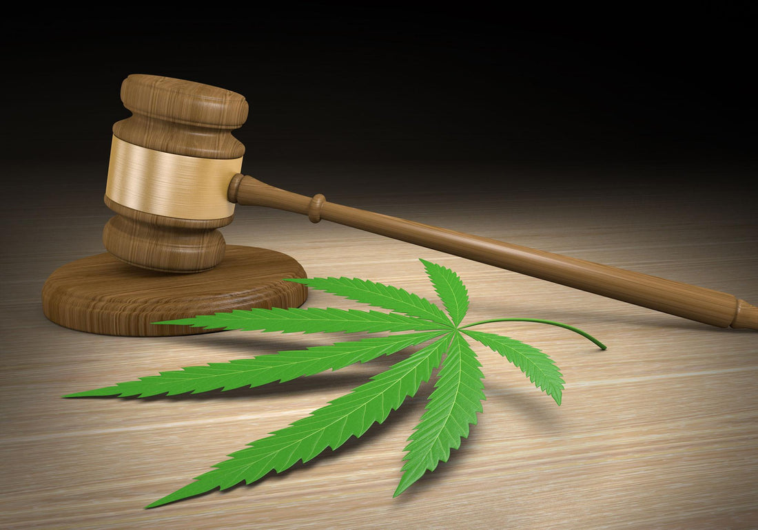 Virginia’s Cannabis Crossroads: What Governor Spanberger’s Actions Really Mean