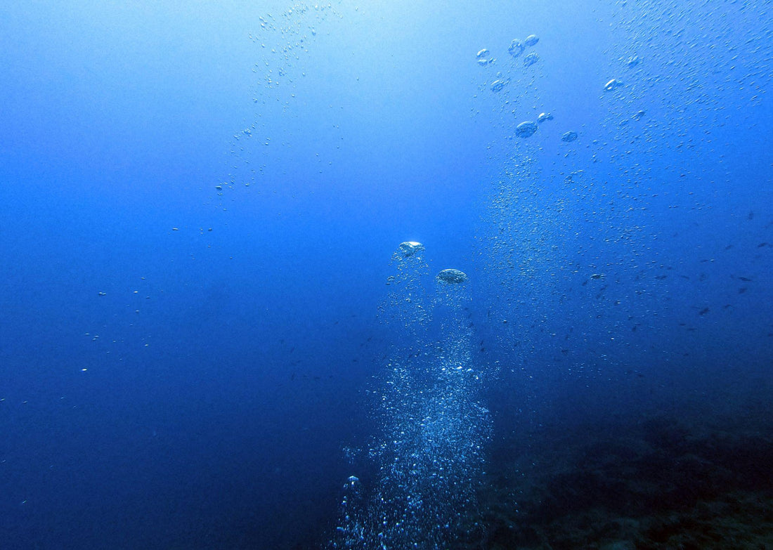A New Era for the Ocean: Understanding the Historic High Seas Treaty
