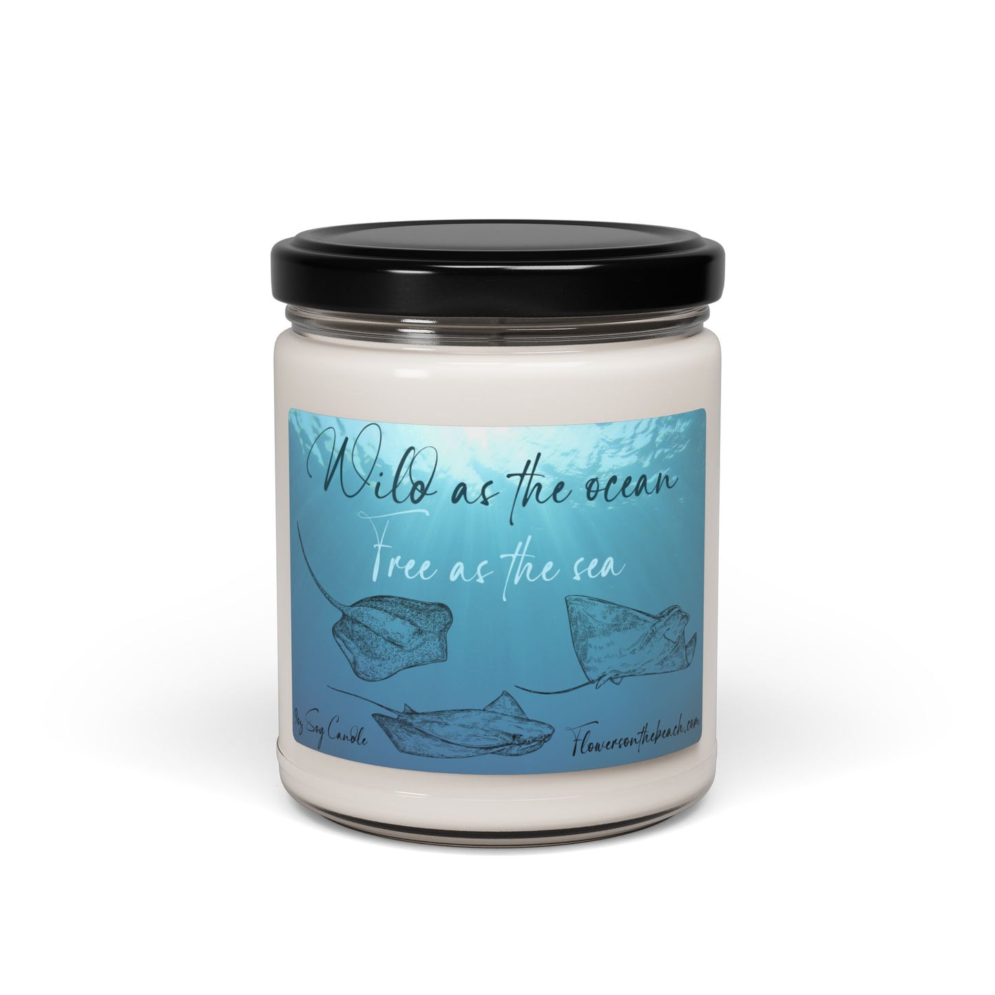 Scented Candle, Peaceful Manta Ray, Ocean Theme Home Decor, Relaxation Gift, Soy Wax, Creatures of the Sea Candle, Stocking Stuffer