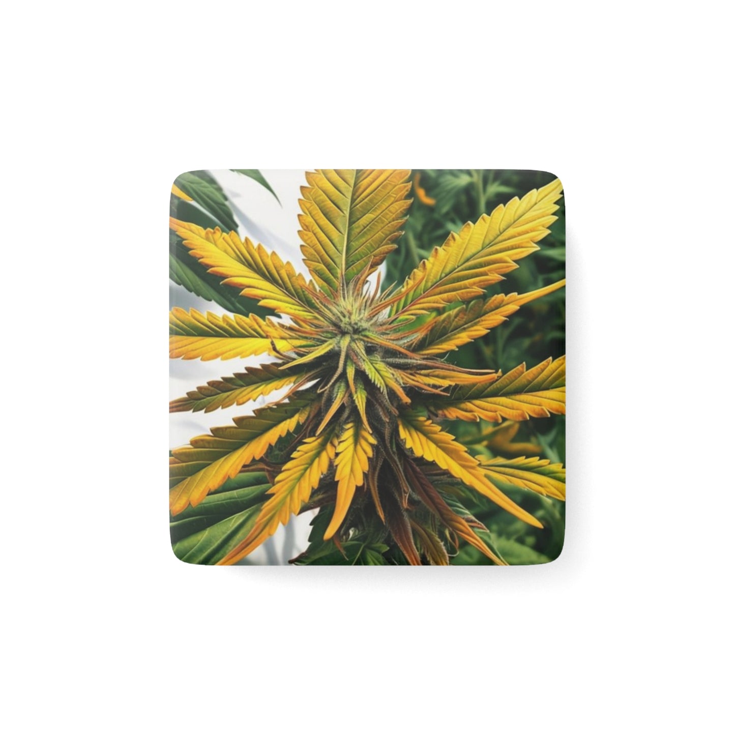 Porcelain Magnet, Square - Bold Yellow Cannabis Plant Magnet, Marijuana Gift, Weed Decor, 420 Stocking Stuffer, Weed Lover Magnet, 420 Decor