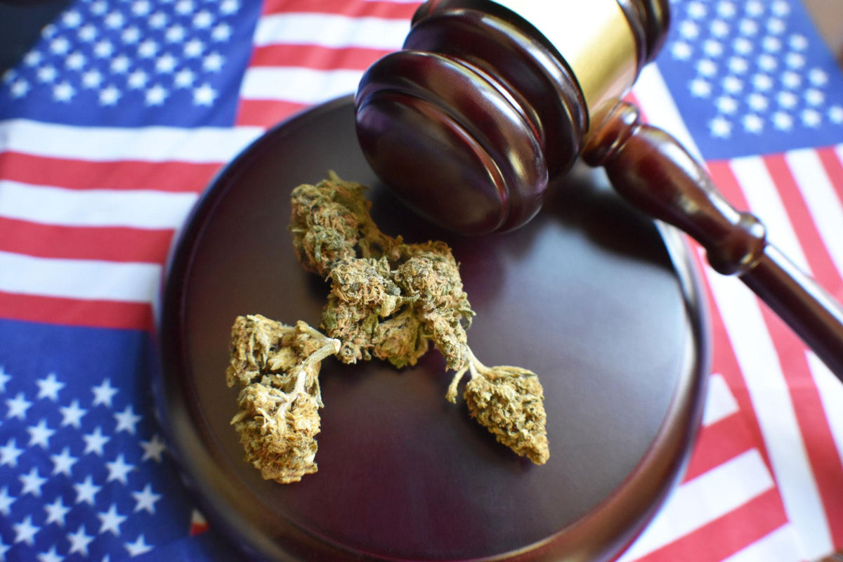 Wooden gavel on a plate with cannabis buds on an American flag background